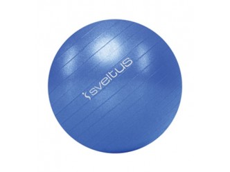 Ballons d'excercices : diamètre 55 cm "Bleue"