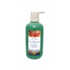 Gel Harpago Arnica Gingembre AIRLESS - 500ml